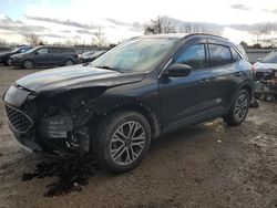 Ford salvage cars for sale: 2020 Ford Escape SEL