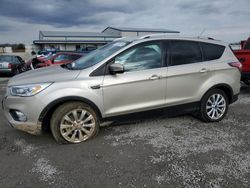 Salvage cars for sale at Earlington, KY auction: 2017 Ford Escape Titanium