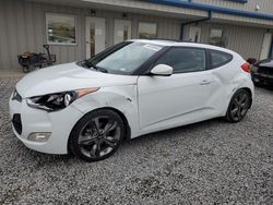 Salvage cars for sale at Earlington, KY auction: 2016 Hyundai Veloster