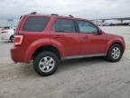 2009 Ford Escape Limited