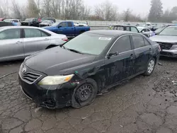 Toyota Camry Base salvage cars for sale: 2011 Toyota Camry Base