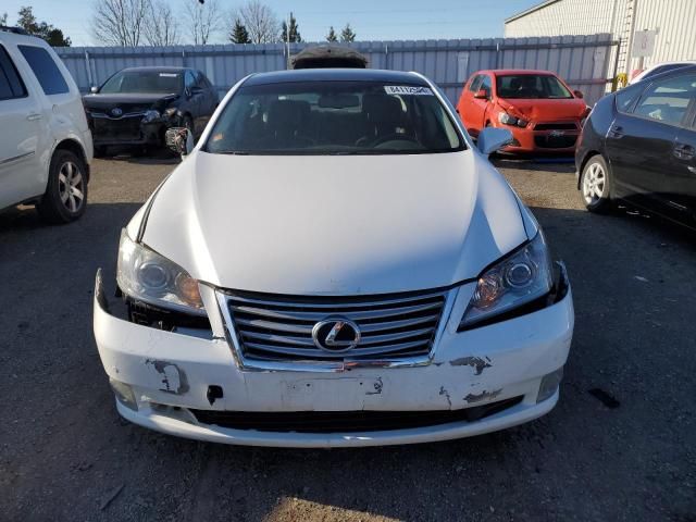 2010 Lexus ES 350