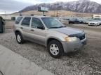 2001 Ford Escape XLT