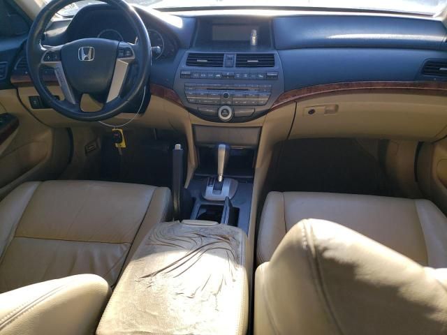 2011 Honda Accord EXL