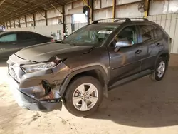 Salvage cars for sale at Phoenix, AZ auction: 2021 Toyota Rav4 XLE