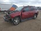 2009 Chevrolet Trailblazer LT