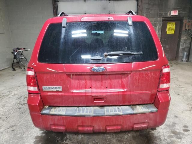 2011 Ford Escape XLT