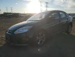 Salvage cars for sale at Elgin, IL auction: 2013 Ford Focus SE