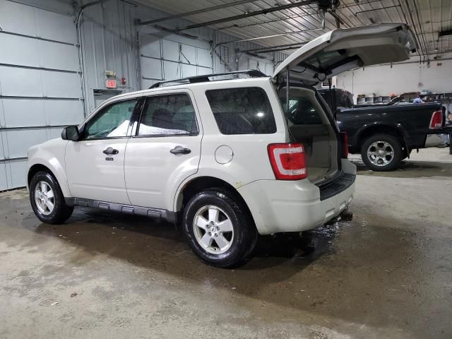 2009 Ford Escape XLT