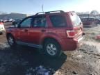 2008 Ford Escape XLT