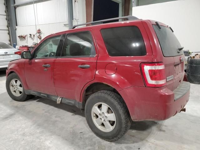 2011 Ford Escape XLT