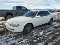 Salvage cars for sale at Helena, MT auction: 1995 Toyota Camry LE