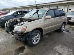 Salvage cars for sale at Louisville, KY auction: 2006 Toyota Highlander Hybrid