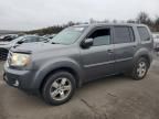 2011 Honda Pilot EXL