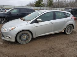 Ford Focus Vehiculos salvage en venta: 2012 Ford Focus SE