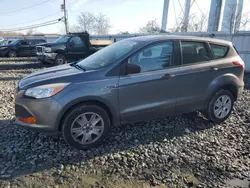 Salvage cars for sale at Windsor, NJ auction: 2014 Ford Escape S