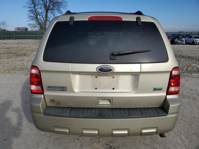 2010 Ford Escape XLT