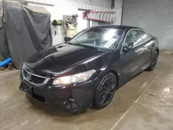 Honda Accord exl salvage cars for sale: 2009 Honda Accord EXL