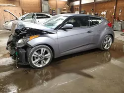 Salvage cars for sale at Ebensburg, PA auction: 2017 Hyundai Veloster