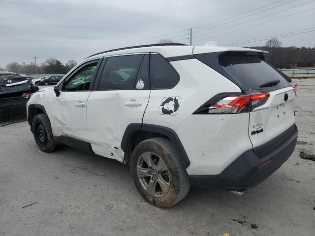 2023 Toyota Rav4 XLE