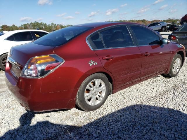 2010 Nissan Altima Base