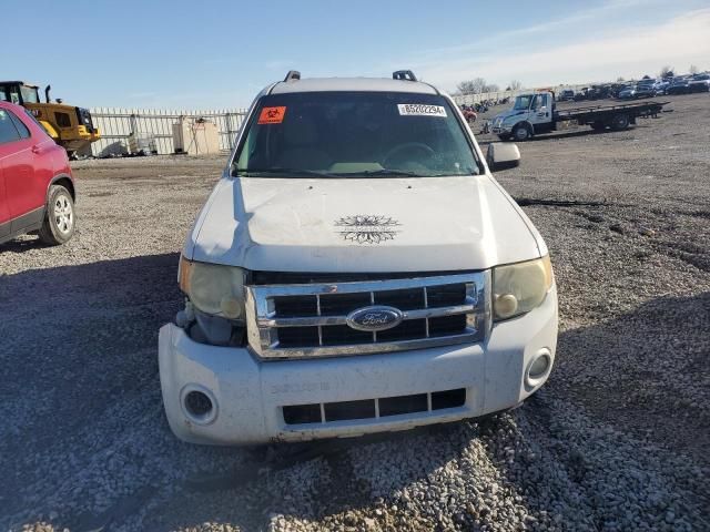 2008 Ford Escape XLT