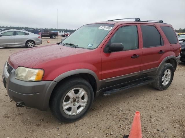 2003 Ford Escape XLT