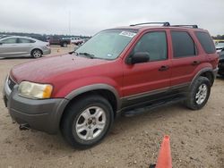 Ford Vehiculos salvage en venta: 2003 Ford Escape XLT