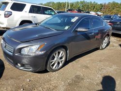 Nissan Maxima salvage cars for sale: 2013 Nissan Maxima S