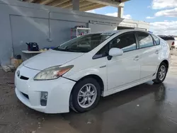 Salvage cars for sale at West Palm Beach, FL auction: 2011 Toyota Prius