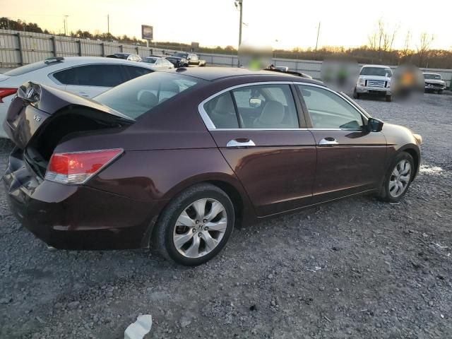 2010 Honda Accord EXL