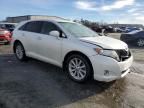 2010 Toyota Venza