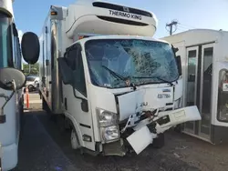 Salvage trucks for sale at Kapolei, HI auction: 2019 Isuzu NQR