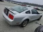 2005 Ford Mustang