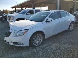 Buick salvage cars for sale: 2011 Buick Regal CXL