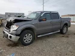 2014 Ford F150 Supercrew en venta en Bismarck, ND