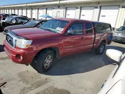 Toyota salvage cars for sale: 2006 Toyota Tacoma Access Cab