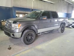 Ford salvage cars for sale: 2014 Ford F150 Supercrew