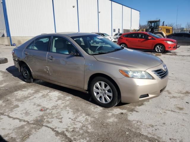 2009 Toyota Camry Hybrid