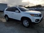 2011 KIA Sorento Base