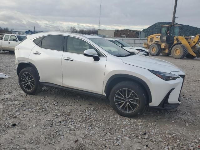 2024 Lexus NX 250 Premium