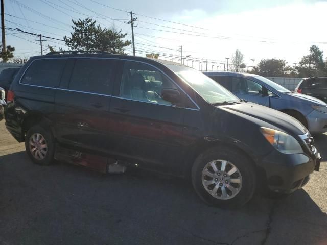 2010 Honda Odyssey EXL