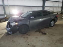 Salvage cars for sale at Graham, WA auction: 2010 Toyota Corolla Base