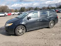 Salvage cars for sale at Madisonville, TN auction: 2013 Honda Odyssey EXL