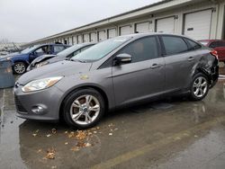 2013 Ford Focus SE en venta en Louisville, KY