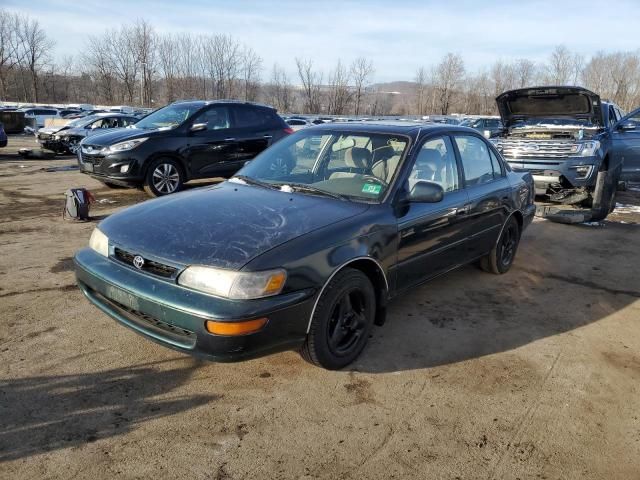 1996 Toyota Corolla DX