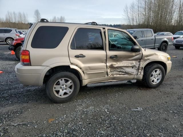 2007 Ford Escape XLT