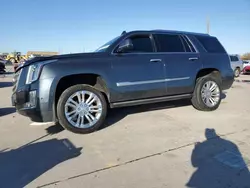 Cadillac Escalade salvage cars for sale: 2019 Cadillac Escalade Premium Luxury