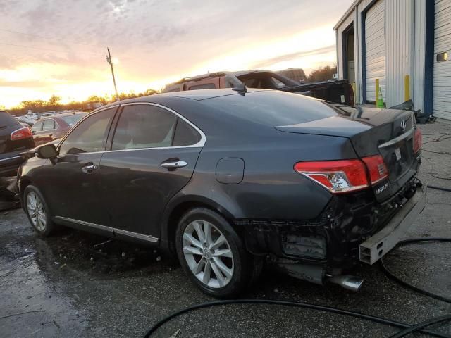 2010 Lexus ES 350