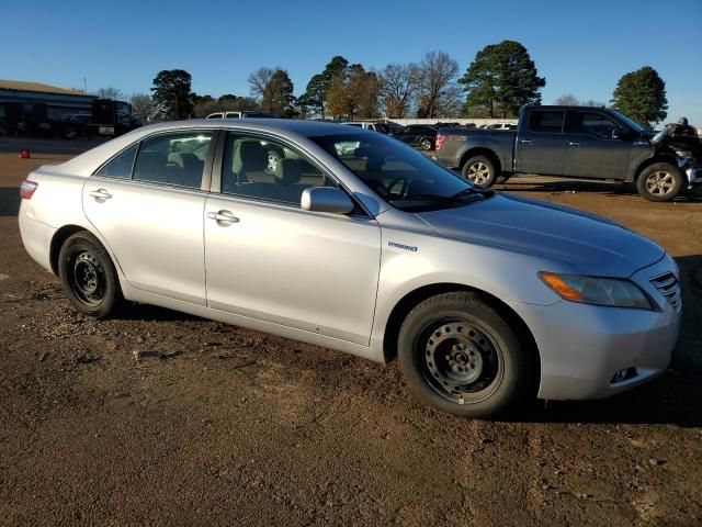 2009 Toyota Camry Hybrid